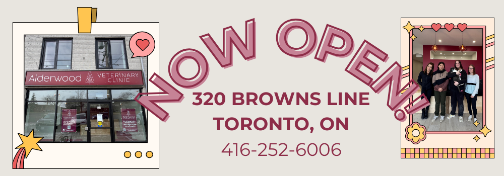 Now open at 320 Browns Line